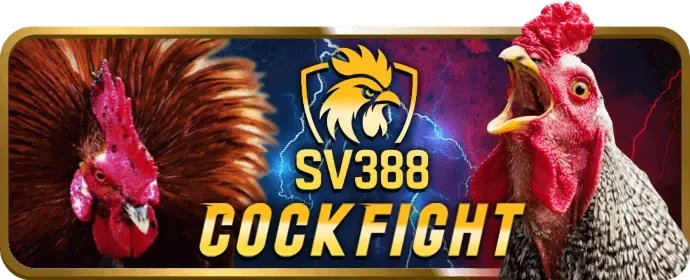 Đá gà 28vin